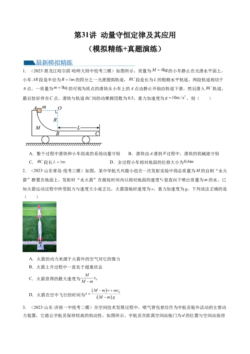 第31讲动量守恒定律及其应用（练习）（原卷版）_4.2025物理总复习_2024年新高考资料_1.2024一轮复习_2024年高考物理一轮复习讲练测（新教材新高考）_第31讲动量守恒定律及其应用（练习）