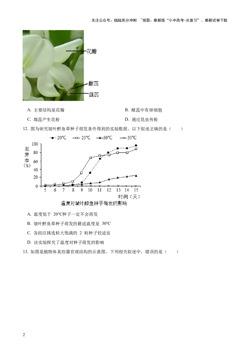 模块三生物圈中的绿色植物（测试）（原卷版）_02中考总复习（2026版更新中）_08-生物-中考总复习_2024年中考复习资料_一轮复习_❤2024年中考生物一轮复习讲练测（全国通用）_练习
