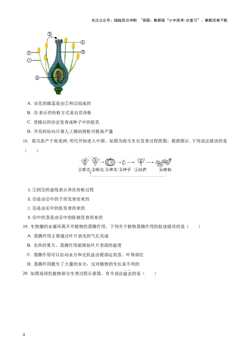 模块三生物圈中的绿色植物（测试）（原卷版）_02中考总复习（2026版更新中）_08-生物-中考总复习_2024年中考复习资料_一轮复习_❤2024年中考生物一轮复习讲练测（全国通用）_练习