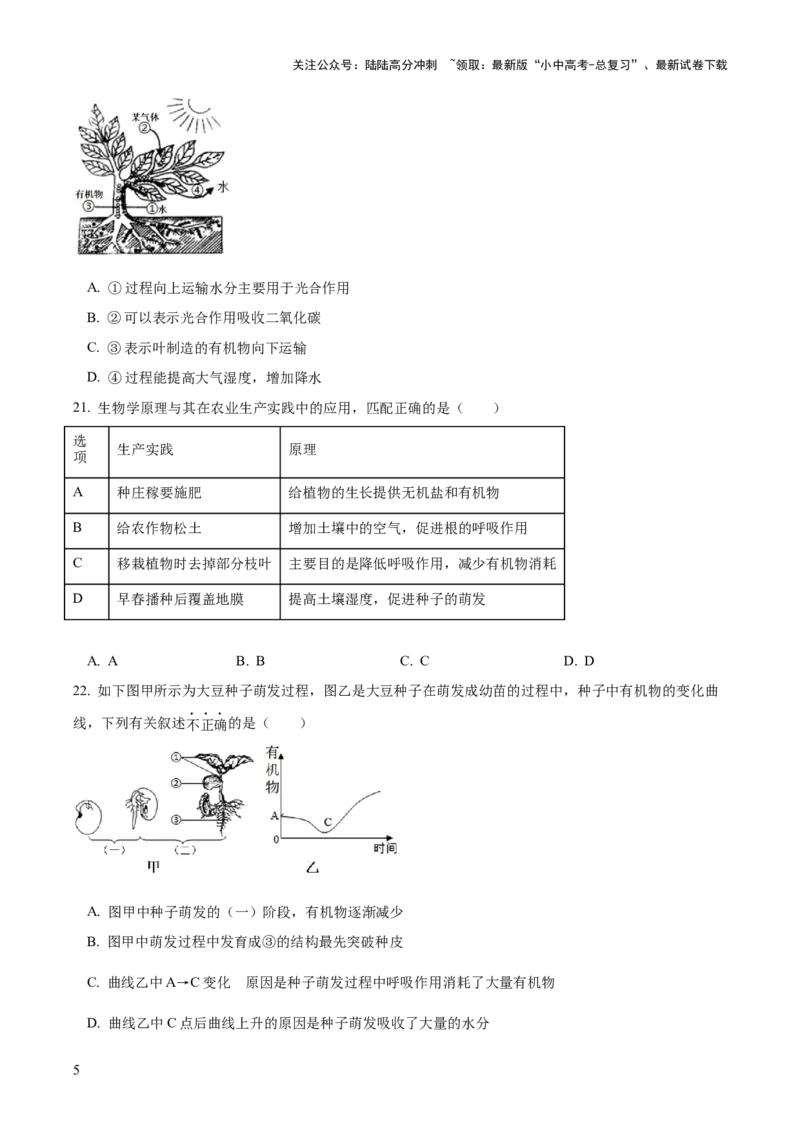 模块三生物圈中的绿色植物（测试）（原卷版）_02中考总复习（2026版更新中）_08-生物-中考总复习_2024年中考复习资料_一轮复习_❤2024年中考生物一轮复习讲练测（全国通用）_练习