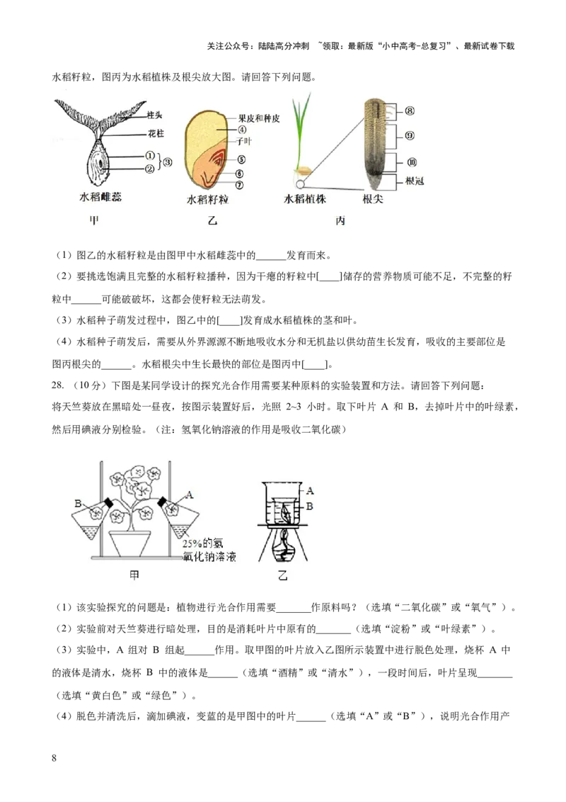 模块三生物圈中的绿色植物（测试）（原卷版）_02中考总复习（2026版更新中）_08-生物-中考总复习_2024年中考复习资料_一轮复习_❤2024年中考生物一轮复习讲练测（全国通用）_练习