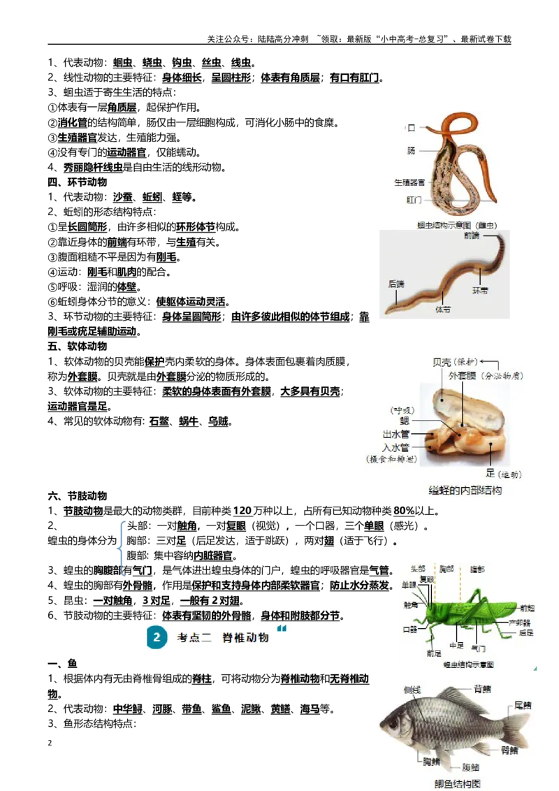 清单08动物的主要类群（2大考点+3大高频命题点）（学生版）_02中考总复习（2026版更新中）_08-生物-中考总复习_2024年中考复习资料_一轮复习