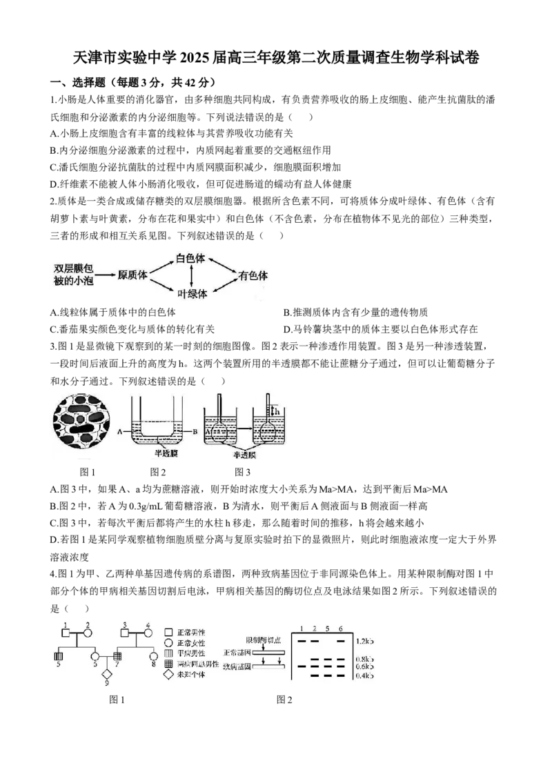 天津市实验中学2024-205学年高三上学期第二次月考试题生物Word版含答案_A1502026各地模拟卷（超值！）_10月_241023天津市实验中学2024-205学年高三上学期第二次月考