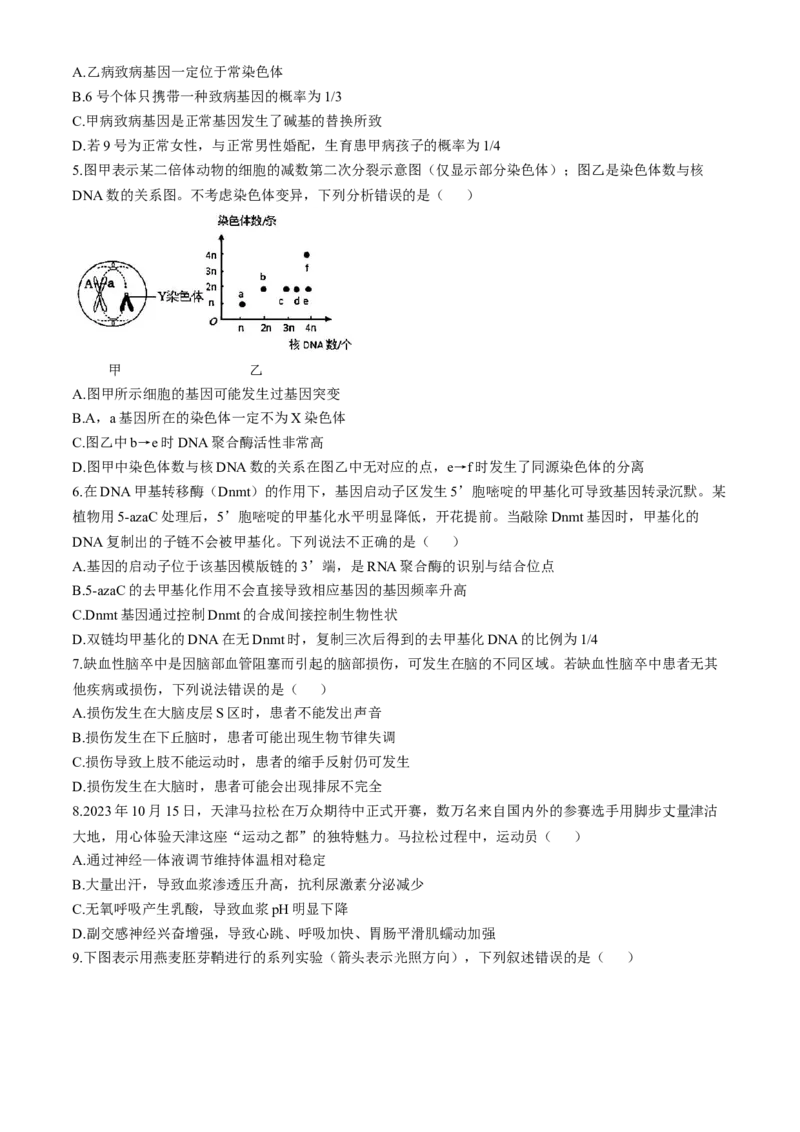 天津市实验中学2024-205学年高三上学期第二次月考试题生物Word版含答案_A1502026各地模拟卷（超值！）_10月_241023天津市实验中学2024-205学年高三上学期第二次月考