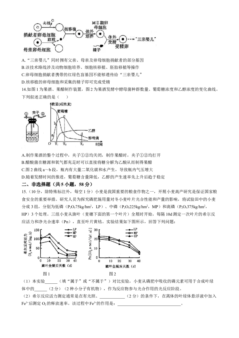 天津市实验中学2024-205学年高三上学期第二次月考试题生物Word版含答案_A1502026各地模拟卷（超值！）_10月_241023天津市实验中学2024-205学年高三上学期第二次月考