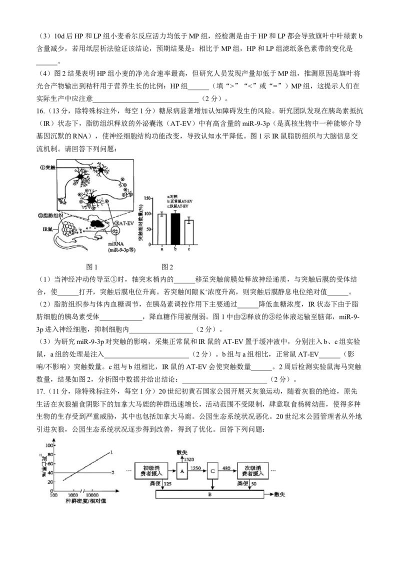 天津市实验中学2024-205学年高三上学期第二次月考试题生物Word版含答案_A1502026各地模拟卷（超值！）_10月_241023天津市实验中学2024-205学年高三上学期第二次月考