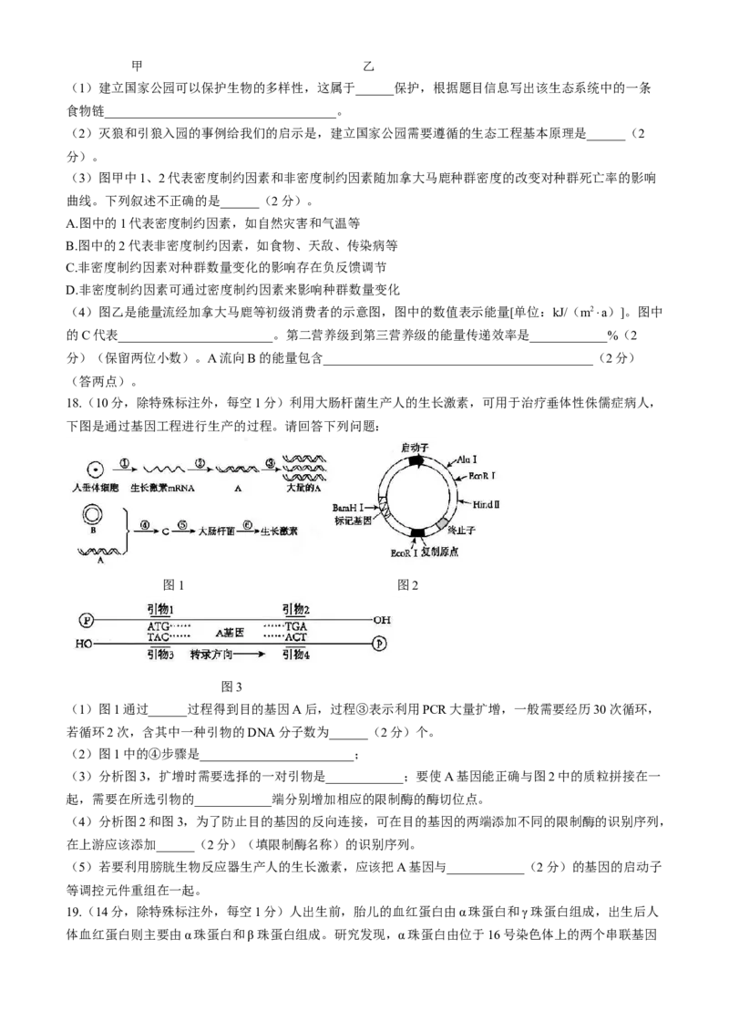 天津市实验中学2024-205学年高三上学期第二次月考试题生物Word版含答案_A1502026各地模拟卷（超值！）_10月_241023天津市实验中学2024-205学年高三上学期第二次月考