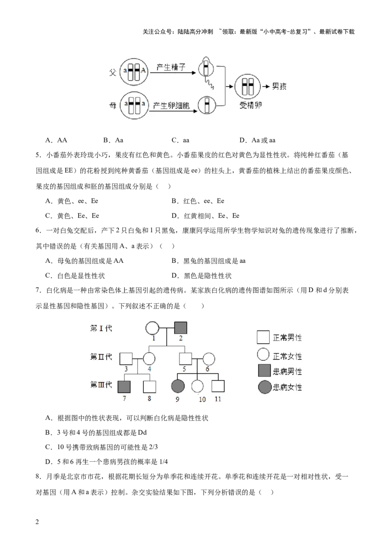 热点04基因组成及概率计算（测试）（原卷版）_02中考总复习（2026版更新中）_08-生物-中考总复习_2025中考复习资料_2025中考二轮课件ppt+讲义+练习生物_测试
