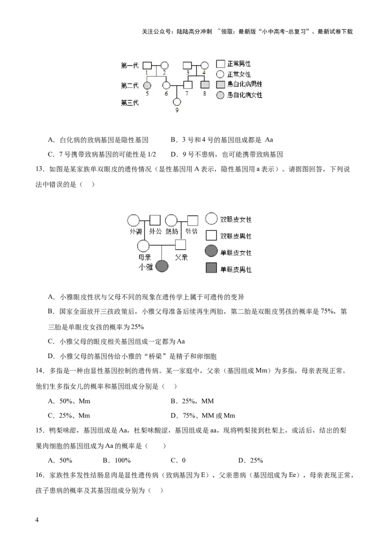 热点04基因组成及概率计算（测试）（原卷版）_02中考总复习（2026版更新中）_08-生物-中考总复习_2025中考复习资料_2025中考二轮课件ppt+讲义+练习生物_测试