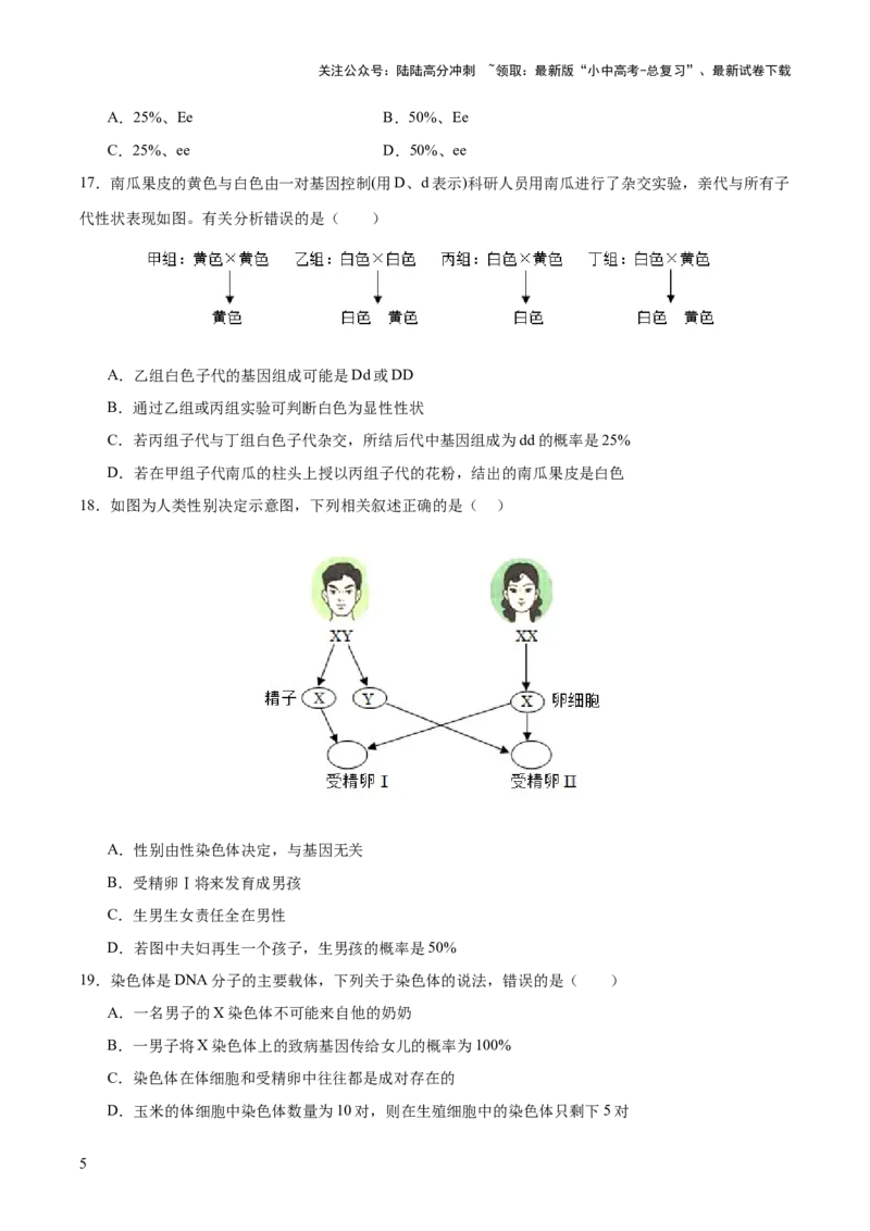 热点04基因组成及概率计算（测试）（原卷版）_02中考总复习（2026版更新中）_08-生物-中考总复习_2025中考复习资料_2025中考二轮课件ppt+讲义+练习生物_测试