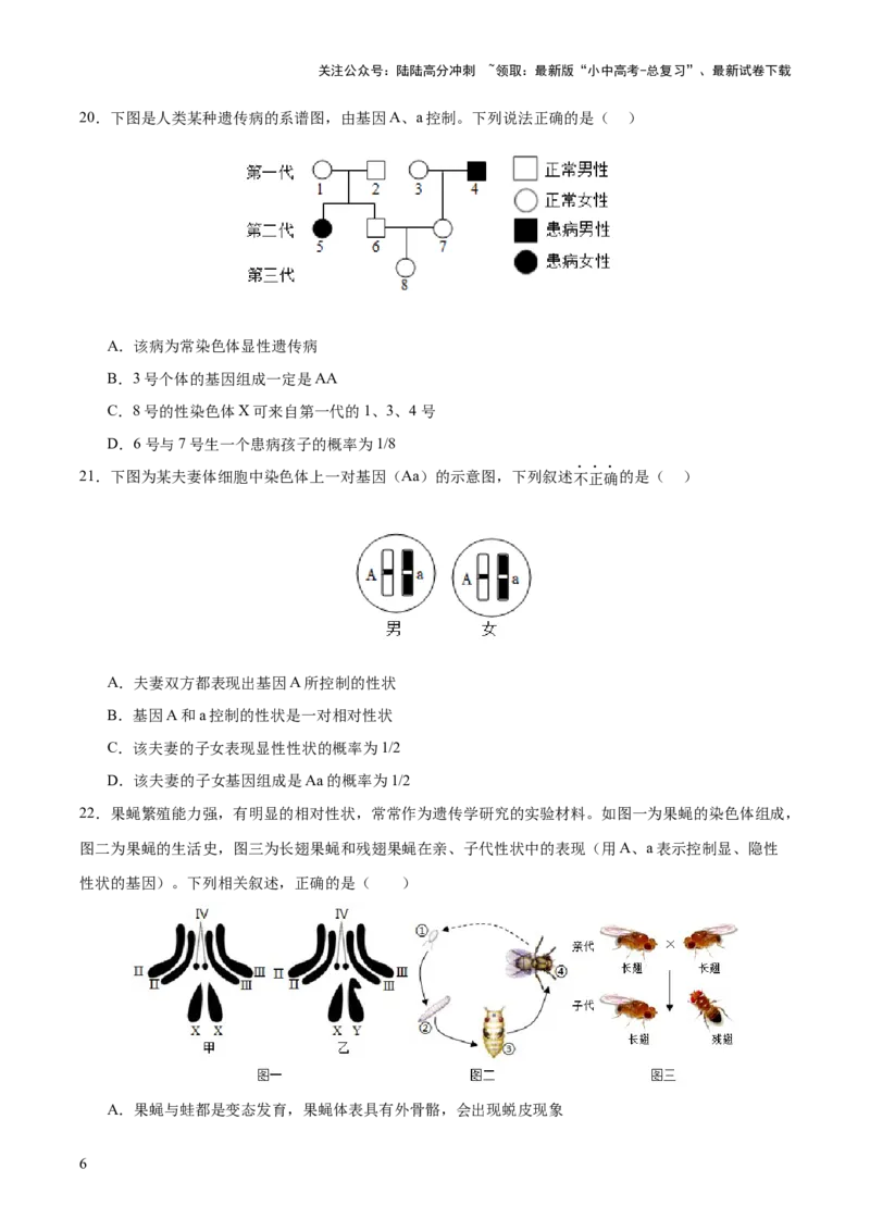 热点04基因组成及概率计算（测试）（原卷版）_02中考总复习（2026版更新中）_08-生物-中考总复习_2025中考复习资料_2025中考二轮课件ppt+讲义+练习生物_测试