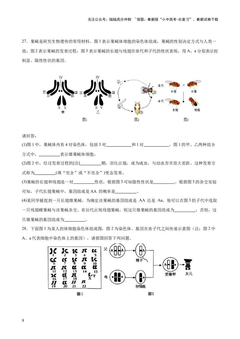 热点04基因组成及概率计算（测试）（原卷版）_02中考总复习（2026版更新中）_08-生物-中考总复习_2025中考复习资料_2025中考二轮课件ppt+讲义+练习生物_测试