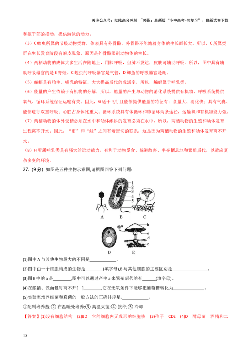 模块五生物的多样性（测试）（解析版）_02中考总复习（2026版更新中）_08-生物-中考总复习_2024年中考复习资料_一轮复习_❤2024年中考生物一轮复习讲练测（全国通用）_练习