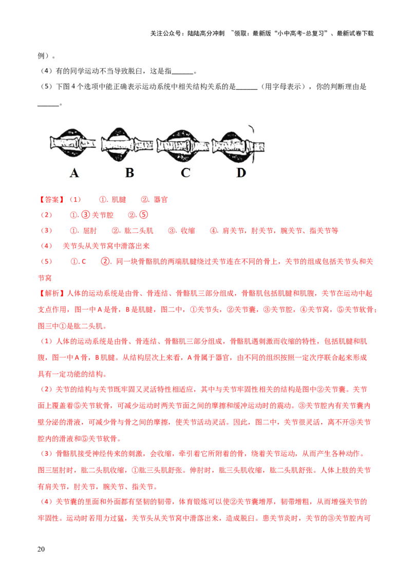 模块五生物的多样性（测试）（解析版）_02中考总复习（2026版更新中）_08-生物-中考总复习_2024年中考复习资料_一轮复习_❤2024年中考生物一轮复习讲练测（全国通用）_练习