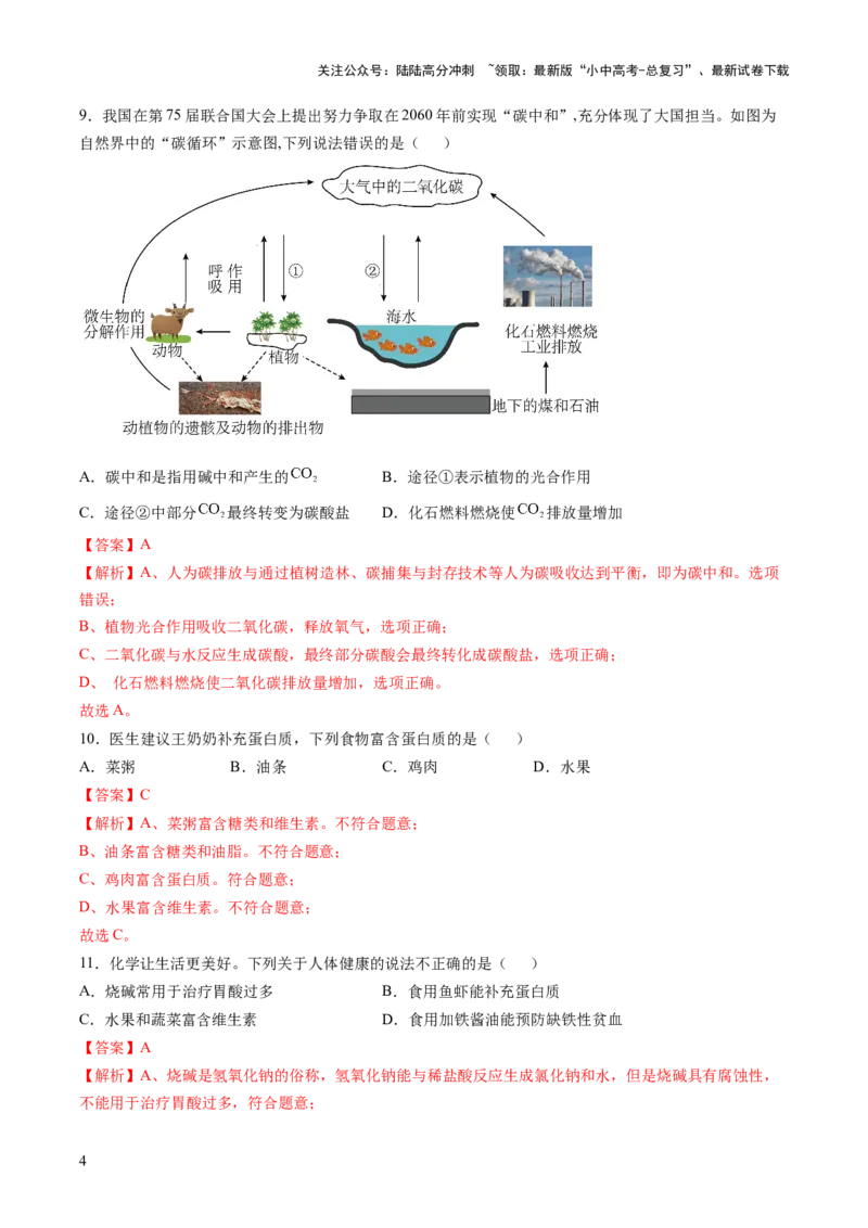 主题四化学与社会（测试）（解析版）_02中考总复习（2026版更新中）_05-化学-中考总复习_2025年中考复习资料_2025中考化学一轮复习讲义+课件_练习_主题四+化学与社会（测试）