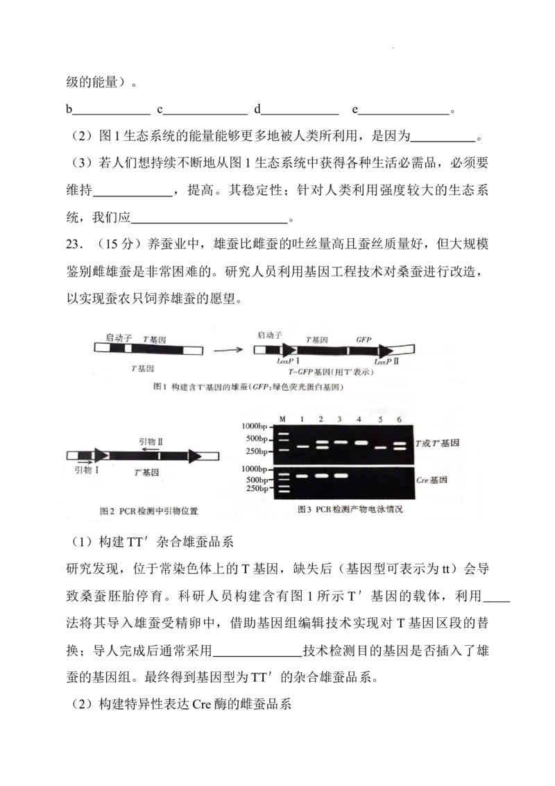 山西省长治市2024-2025学年高三上学期9月质量监测生物试题_A1502026各地模拟卷（超值！）_9月_2409222025山西三重教育高三9月质量检测（长治市高三9月质量监测）