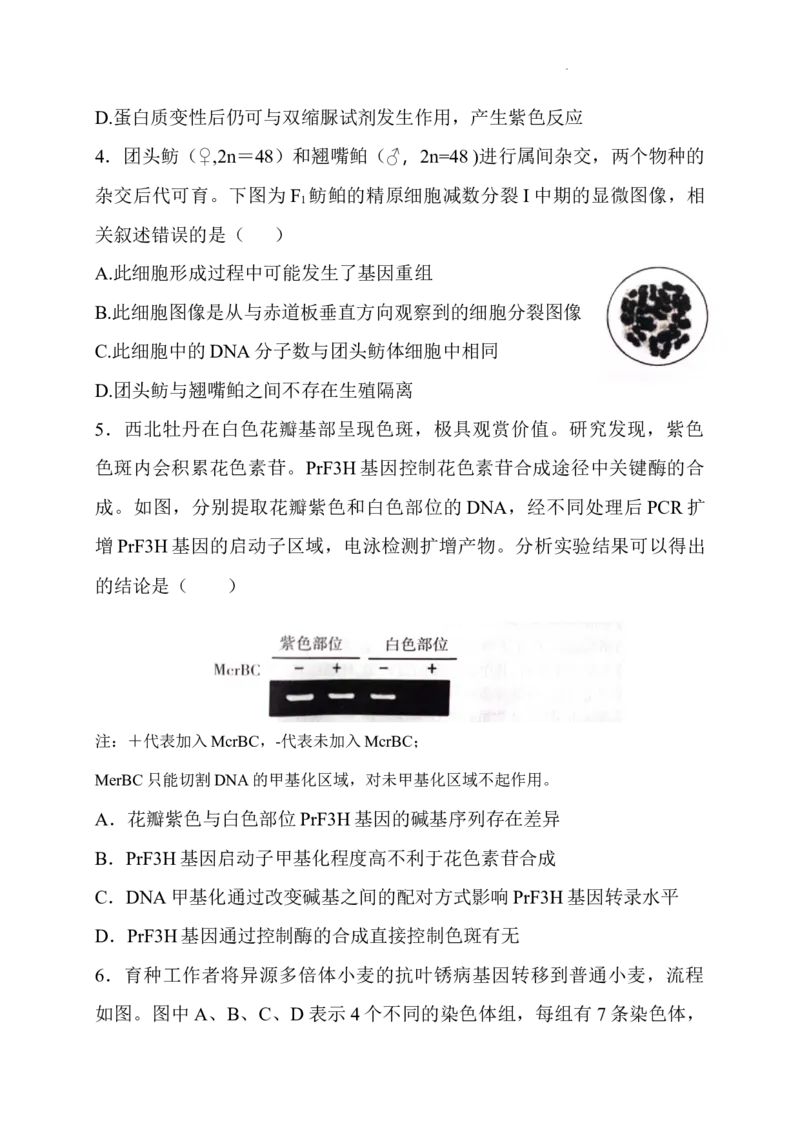 山西省长治市2024-2025学年高三上学期9月质量监测生物试题_A1502026各地模拟卷（超值！）_9月_2409222025山西三重教育高三9月质量检测（长治市高三9月质量监测）