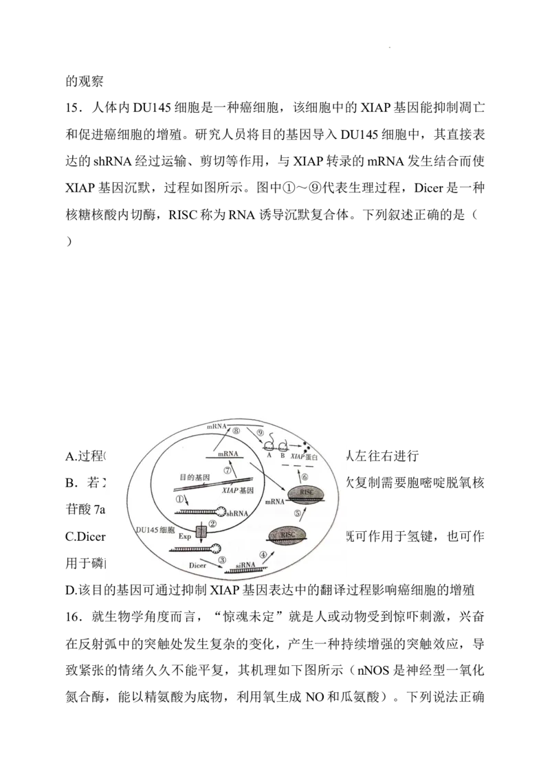 山西省长治市2024-2025学年高三上学期9月质量监测生物试题_A1502026各地模拟卷（超值！）_9月_2409222025山西三重教育高三9月质量检测（长治市高三9月质量监测）