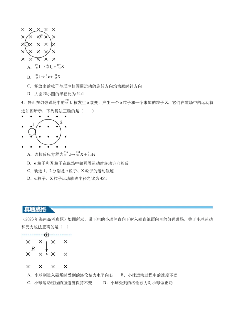 第50讲磁场对运动电荷的作用（讲义）（原卷版）_4.2025物理总复习_2024年新高考资料_1.2024一轮复习_2024年高考物理一轮复习讲练测（新教材新高考）_第50讲磁场对运动电荷的作用（讲义）