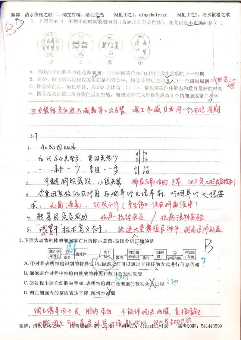 6积累与改错高中生物62页_高中衡水学霸笔记_高中全部赠品_错题集高中九科_生物积累与改错