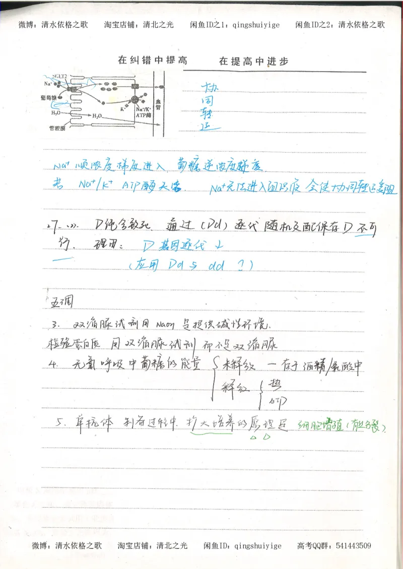 6积累与改错高中生物62页_高中衡水学霸笔记_高中全部赠品_错题集高中九科_生物积累与改错