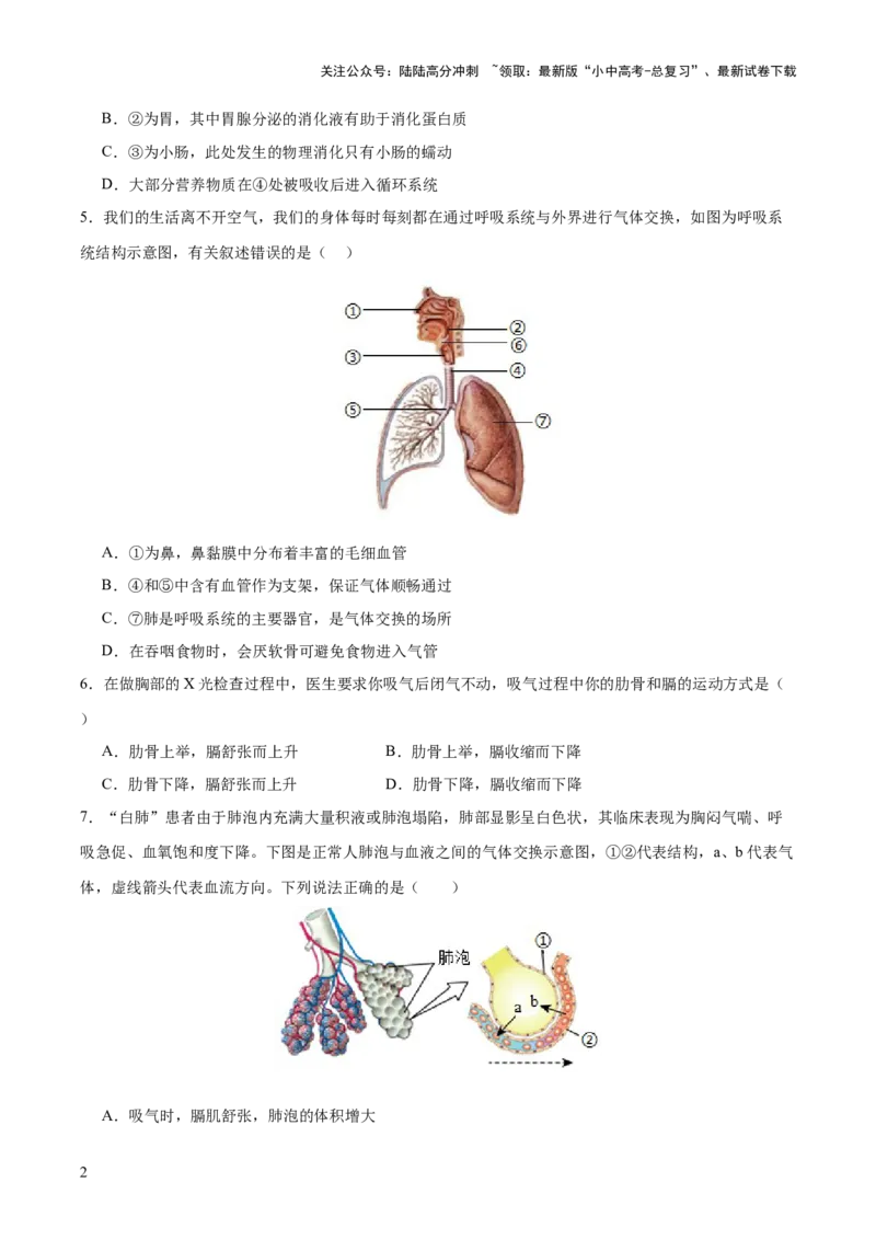 主题05人体生理与健康（测试）（原卷版）_02中考总复习（2026版更新中）_08-生物-中考总复习_2025中考复习资料_2025中考二轮课件ppt+讲义+练习生物_测试