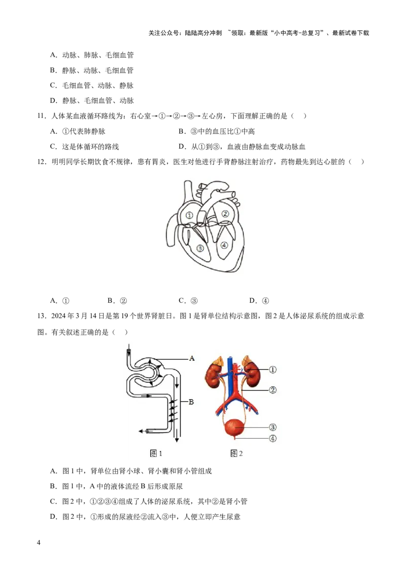 主题05人体生理与健康（测试）（原卷版）_02中考总复习（2026版更新中）_08-生物-中考总复习_2025中考复习资料_2025中考二轮课件ppt+讲义+练习生物_测试