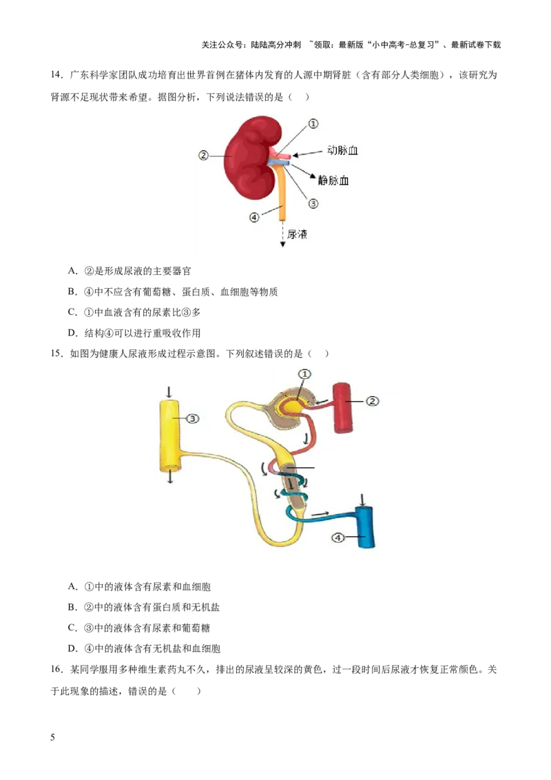 主题05人体生理与健康（测试）（原卷版）_02中考总复习（2026版更新中）_08-生物-中考总复习_2025中考复习资料_2025中考二轮课件ppt+讲义+练习生物_测试