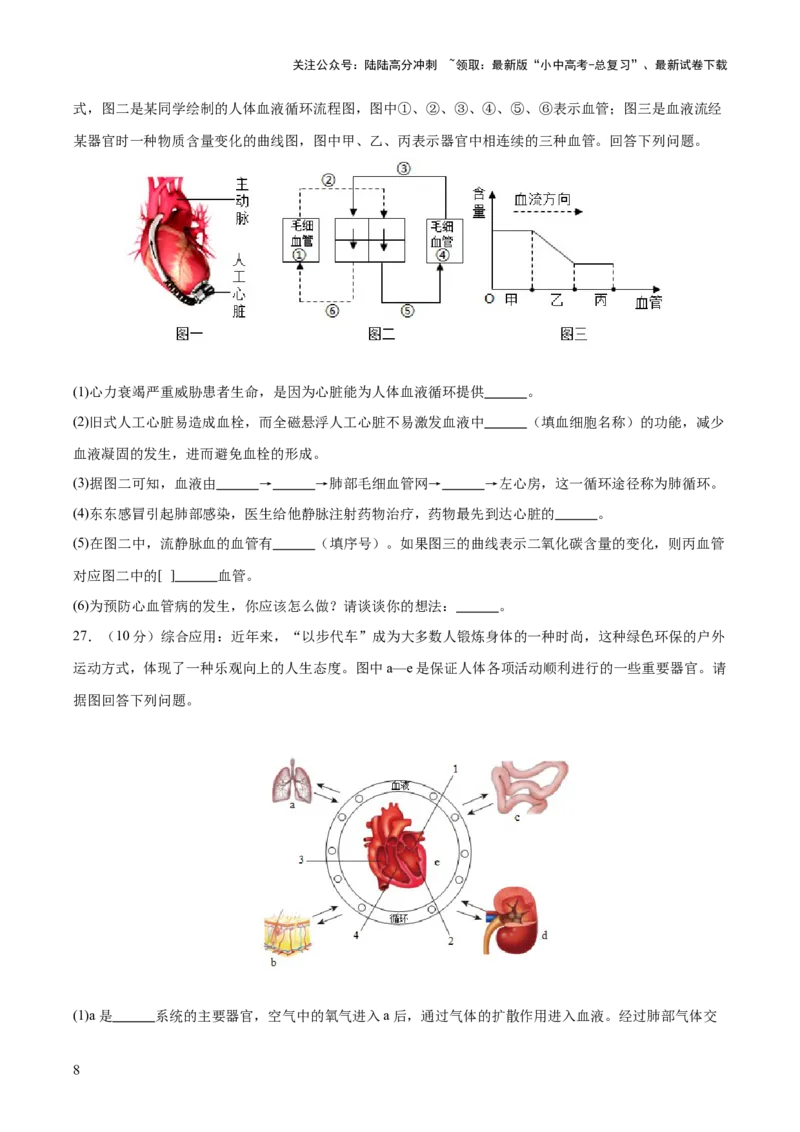 主题05人体生理与健康（测试）（原卷版）_02中考总复习（2026版更新中）_08-生物-中考总复习_2025中考复习资料_2025中考二轮课件ppt+讲义+练习生物_测试
