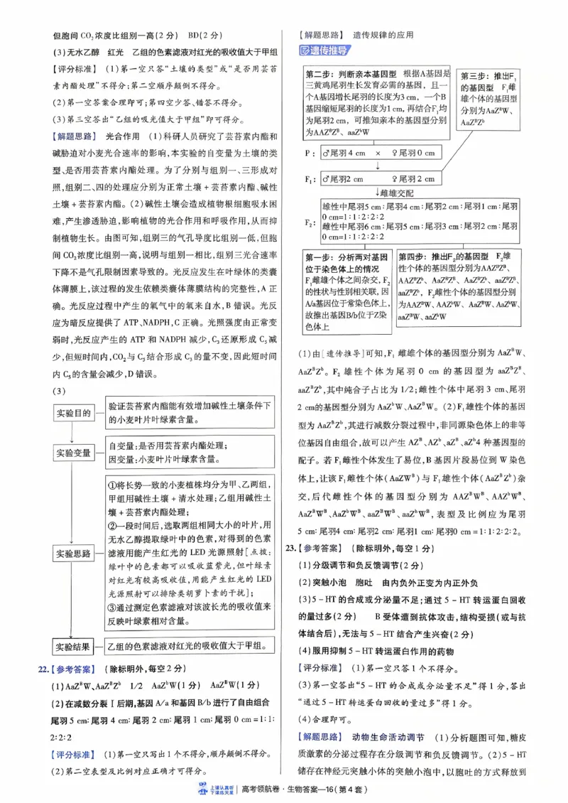 2026金考卷百校联盟高考领航卷生物答案四（新教材不定项选择题版）_2026版金考卷&middot;百校联盟高考领航卷（全科）_2026版金考卷&middot;百校联盟高考领航卷生物（单选+不定项）