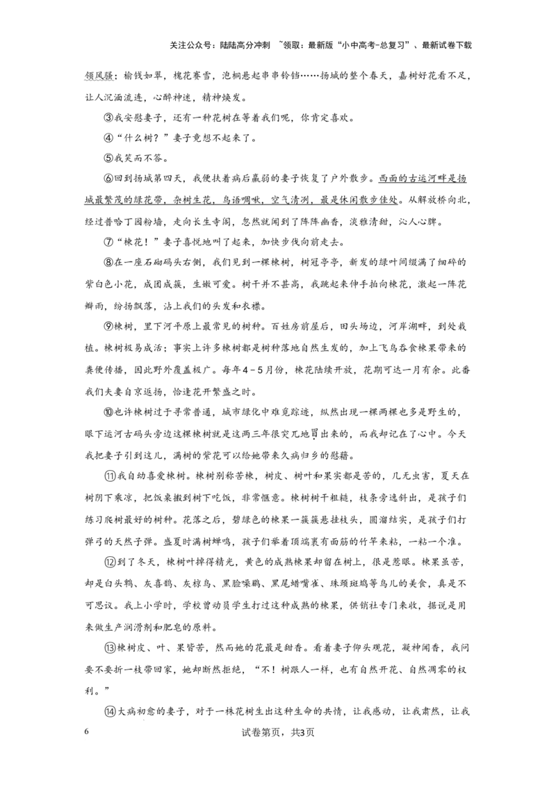 插叙的作用（专项训练）（原卷版）_02中考总复习（2026版更新中）_01-语文-中考总复习_2025年中考资料_备战2025年中考语文一轮复习记叙文阅读课件+专项练习_专项练习