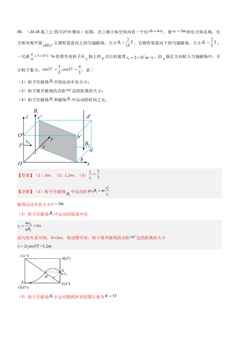 压轴题07带电粒子在磁场中的运动（解析版）_4.2025物理总复习_2024年新高考资料_5.2024三轮冲刺_2024年高考物理压轴题专项训练（新高考通用）