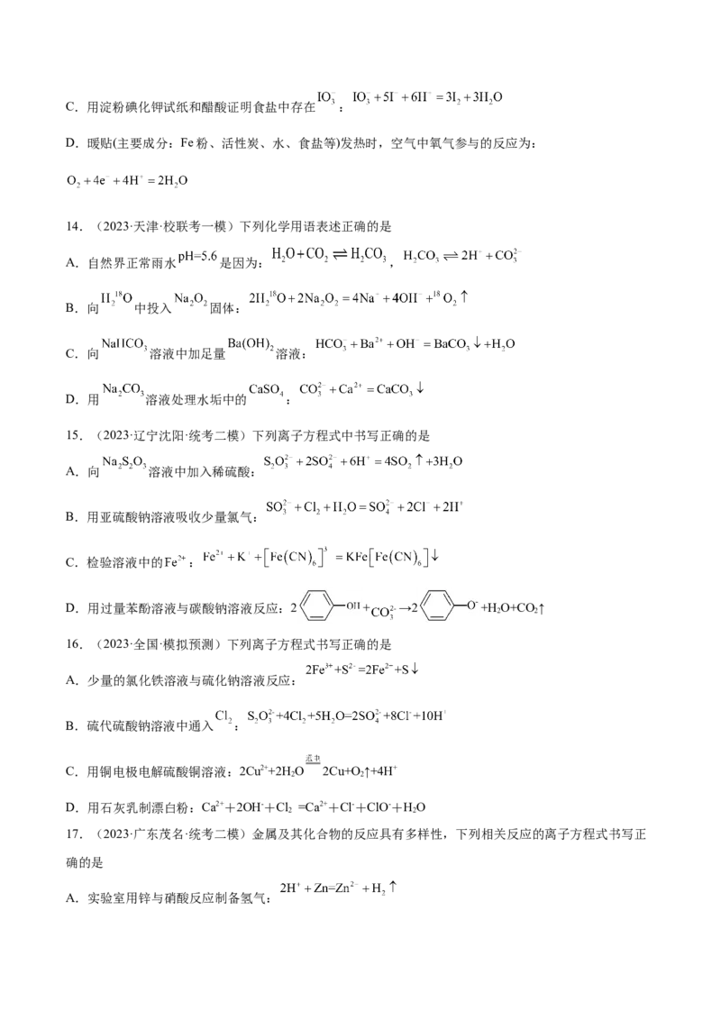 04离子反应-暑假培优（解析版）_2025秋高中《化学暑假衔接讲义》新高一、二、三（培优讲义+暑假作业本）_新高三化学暑假培优专练