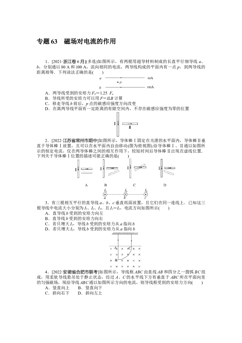 专题63磁场对电流的作用_4.2025物理总复习_2023年新高复习资料_专项复习_2023《微专题&middot;小练习》&middot;物理&middot;新教材&middot;XL-5