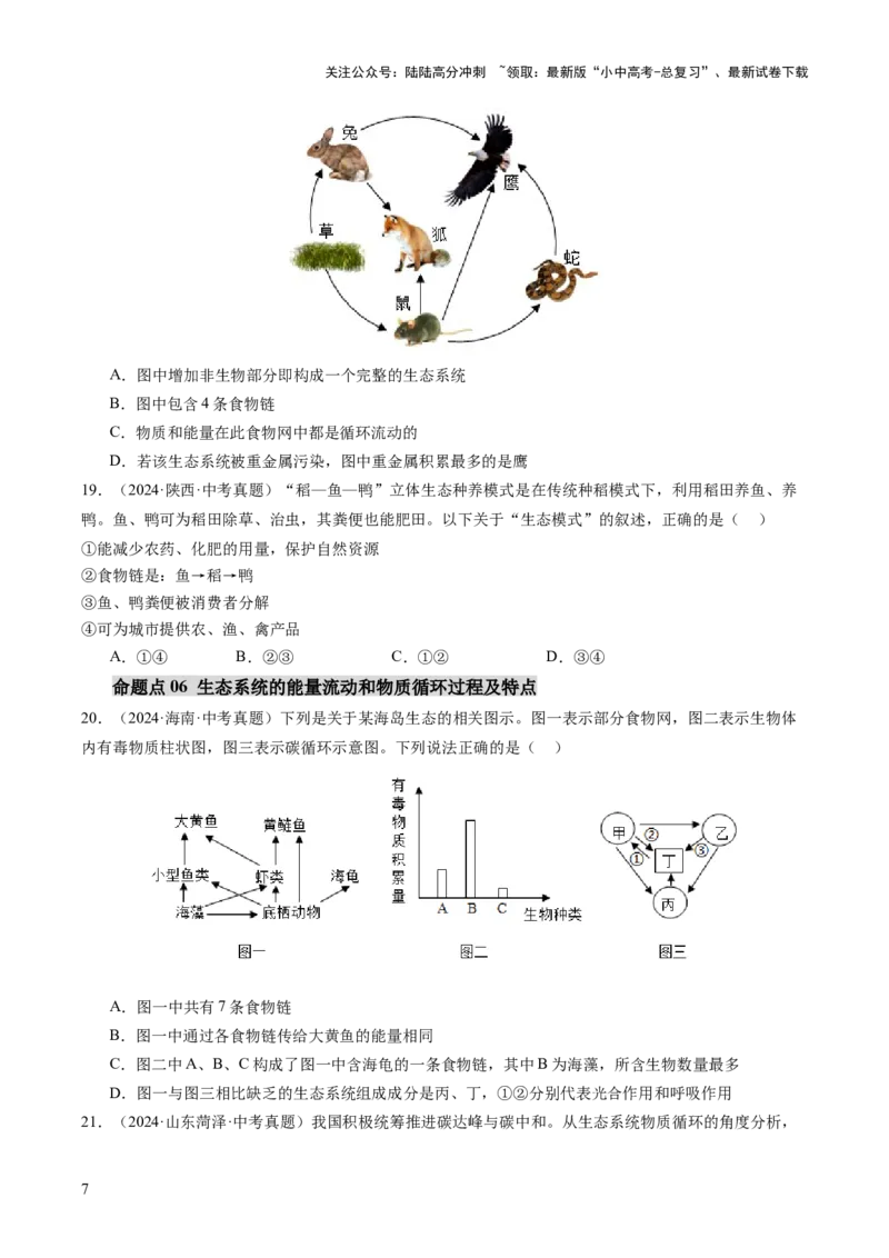 主题三生物与环境（讲练）（原卷版）_02中考总复习（2026版更新中）_08-生物-中考总复习_2025中考复习资料_2025中考二轮课件ppt+讲义+练习生物_讲义+练习