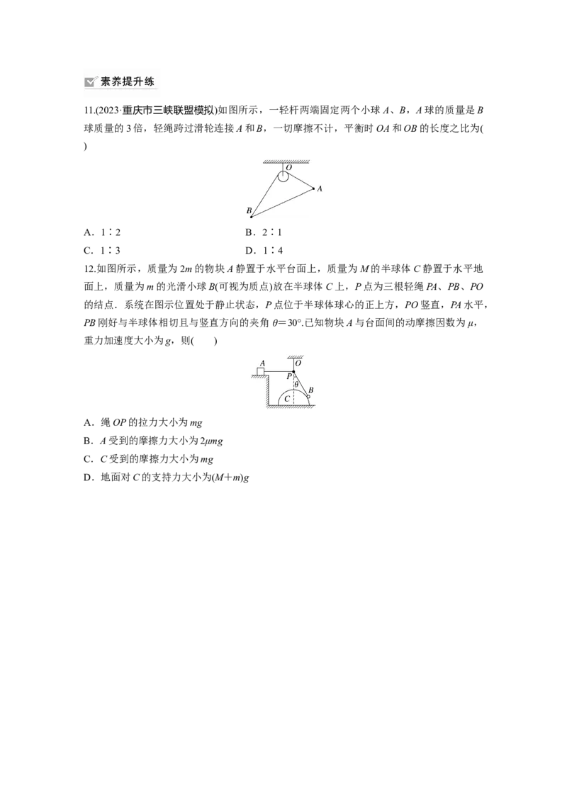 第2章第4练　牛顿第3定律　共点力平衡_4.2025物理总复习_2024年新高考资料_1.2024一轮复习_2024年高考物理一轮复习讲义（新人教版）_学生版在此文件夹_一轮复习85练