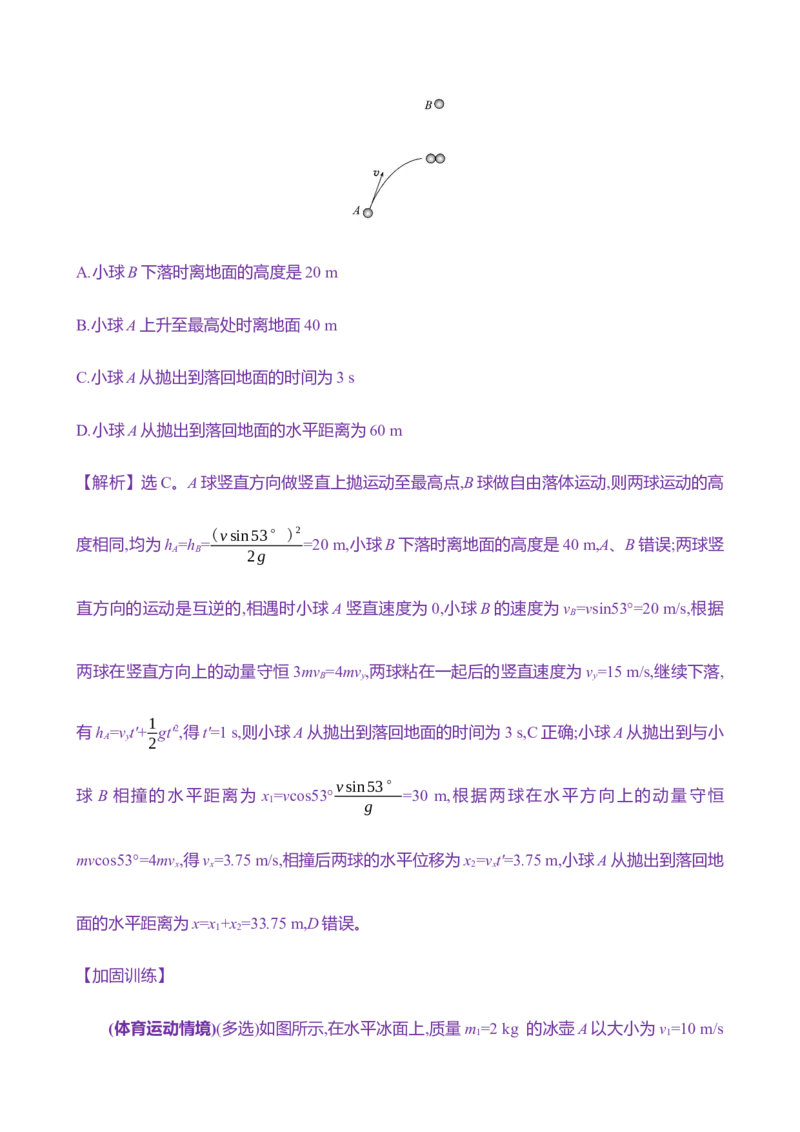 二十二：动量守恒定律及其应用（含解析）_4.2025物理总复习_2025年新高考资料_专项复习_2025新高考物理核心素养测评（含解析）（完结）