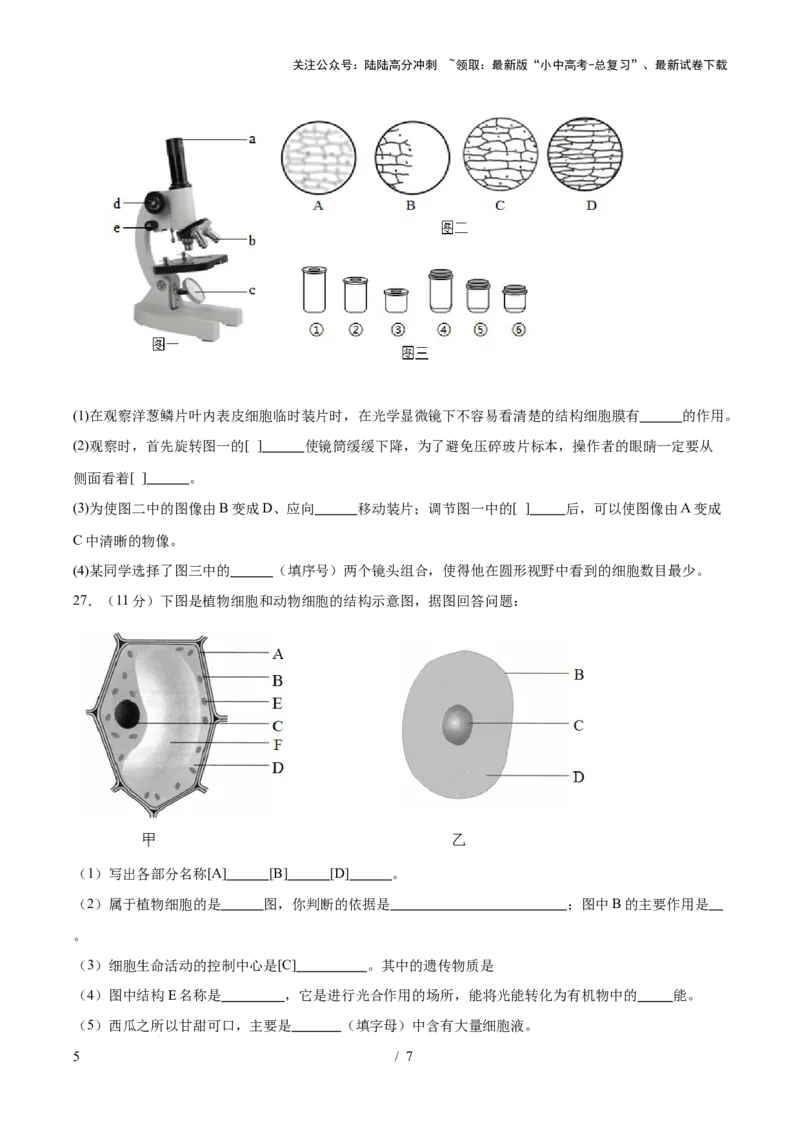 主题01生物体的结构层次（测试）（原卷版）_02中考总复习（2026版更新中）_08-生物-中考总复习_2025中考复习资料_2025中考二轮课件ppt+讲义+练习生物_测试