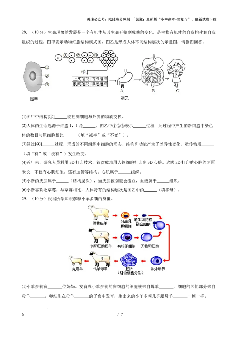 主题01生物体的结构层次（测试）（原卷版）_02中考总复习（2026版更新中）_08-生物-中考总复习_2025中考复习资料_2025中考二轮课件ppt+讲义+练习生物_测试