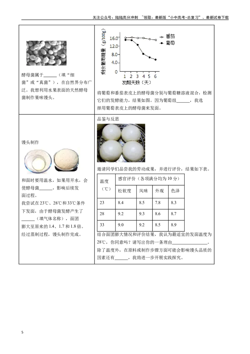 清单10细菌、真菌和病毒（6大考点+2大高频命题点）（学生版）_02中考总复习（2026版更新中）_08-生物-中考总复习_2024年中考复习资料_一轮复习