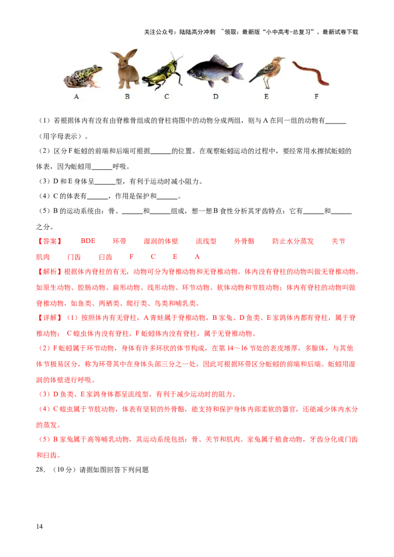 主题二生物的多样性（测试）（解析版）_02中考总复习（2026版更新中）_08-生物-中考总复习_2025中考复习资料_2025中考二轮课件ppt+讲义+练习生物_测试