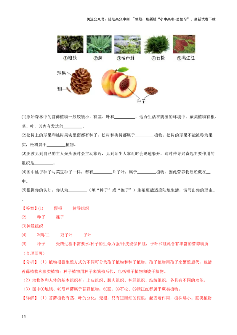 主题二生物的多样性（测试）（解析版）_02中考总复习（2026版更新中）_08-生物-中考总复习_2025中考复习资料_2025中考二轮课件ppt+讲义+练习生物_测试