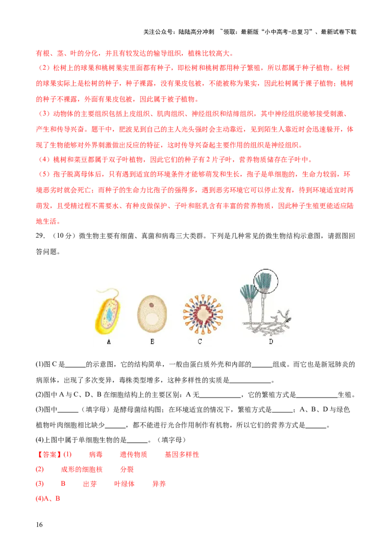 主题二生物的多样性（测试）（解析版）_02中考总复习（2026版更新中）_08-生物-中考总复习_2025中考复习资料_2025中考二轮课件ppt+讲义+练习生物_测试