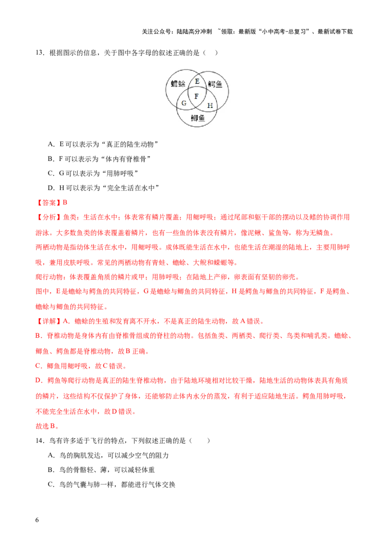 主题二生物的多样性（测试）（解析版）_02中考总复习（2026版更新中）_08-生物-中考总复习_2025中考复习资料_2025中考二轮课件ppt+讲义+练习生物_测试