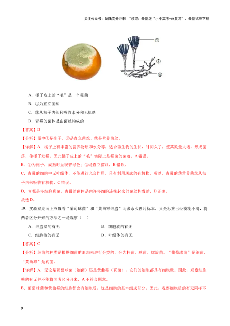 主题二生物的多样性（测试）（解析版）_02中考总复习（2026版更新中）_08-生物-中考总复习_2025中考复习资料_2025中考二轮课件ppt+讲义+练习生物_测试