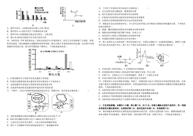2024&mdash;2025学年度高三上学期期中生物试题_A1502026各地模拟卷（超值！）_11月_241120黑龙江省哈尔滨市师范大学附属中学2025届高三上学期期中考试（全科）