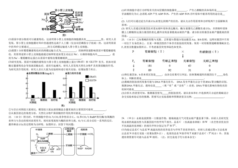 2024&mdash;2025学年度高三上学期期中生物试题_A1502026各地模拟卷（超值！）_11月_241120黑龙江省哈尔滨市师范大学附属中学2025届高三上学期期中考试（全科）