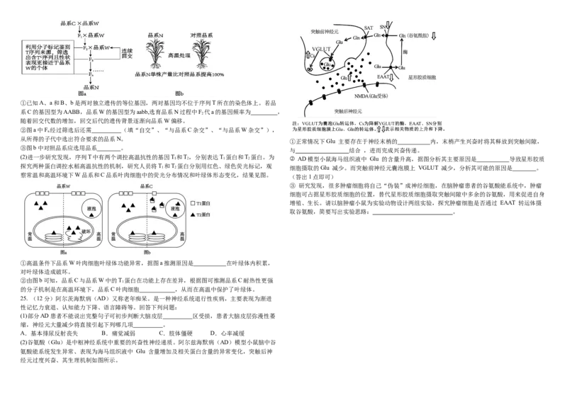 2024&mdash;2025学年度高三上学期期中生物试题_A1502026各地模拟卷（超值！）_11月_241120黑龙江省哈尔滨市师范大学附属中学2025届高三上学期期中考试（全科）
