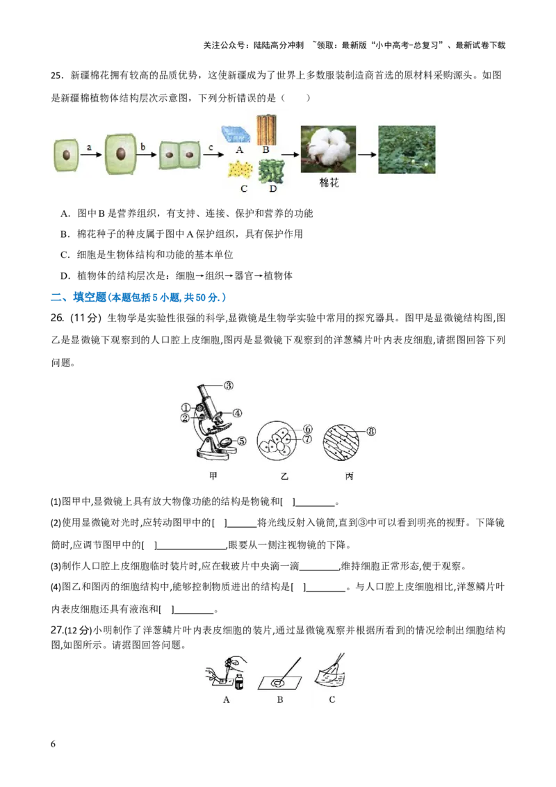 模块二生物体的结构层次（测试）（原卷版）_02中考总复习（2026版更新中）_08-生物-中考总复习_2024年中考复习资料_一轮复习_❤2024年中考生物一轮复习讲练测（全国通用）_练习