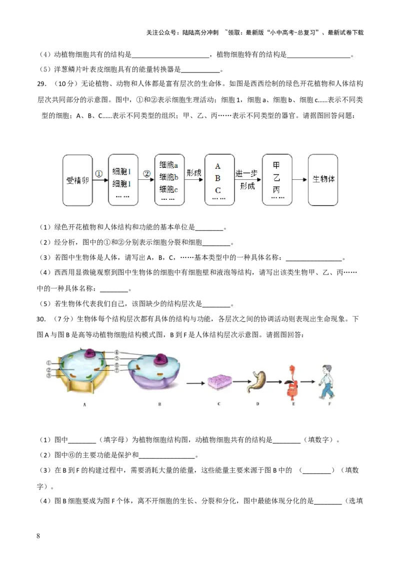 模块二生物体的结构层次（测试）（原卷版）_02中考总复习（2026版更新中）_08-生物-中考总复习_2024年中考复习资料_一轮复习_❤2024年中考生物一轮复习讲练测（全国通用）_练习